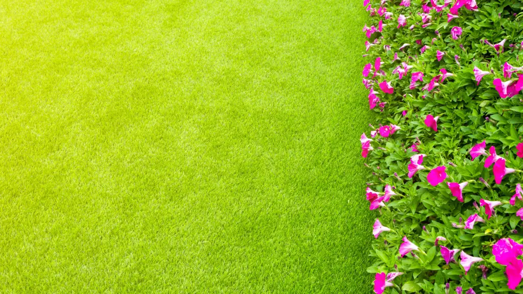 Relva artificial ao lado de um canteiro de flores cor-de-rosa